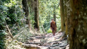 Ultimate Travel Guide to Yen Tu Mountain: Exploring the Spiritual Buddhist Capital of Vietnam with Ancient Pagodas and Scenic Hiking Trails-2