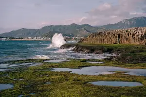 Discover Hon Do: Lush Green Moss Beach and Majestic Sea Cave, a Mesmerizing Landscape in Khanh Hoa.-8