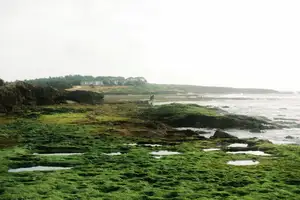 Discover Hon Do: Lush Green Moss Beach and Majestic Sea Cave, a Mesmerizing Landscape in Khanh Hoa.-2