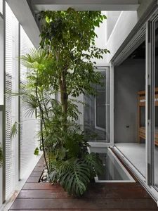 Minimalist Sanctuary: Elevating Modern Living with Floor-to-Ceiling Glass Walls and Lush Indoor Greenery-0