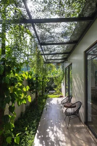 Minimalist Sanctuary: Elevating Modern Living with Floor-to-Ceiling Glass Walls and Lush Indoor Greenery-8