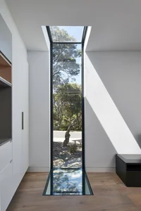 Minimalist Sanctuary: Elevating Modern Living with Floor-to-Ceiling Glass Walls and Lush Indoor Greenery-18