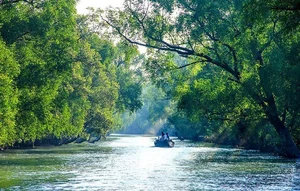 Discover the mystical wonders of Sundarbans the world's largest mangrove forest-2