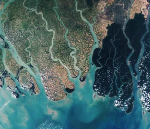 Discover the mystical wonders of Sundarbans the world's largest mangrove forest-5