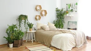 5 Common Indoor Plant Placement Mistakes to Avoid for a Healthier, Safer, and More Beautiful Home Environment-0