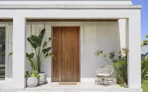 5 Common Indoor Plant Placement Mistakes to Avoid for a Healthier, Safer, and More Beautiful Home Environment-3