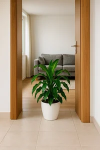 5 Common Indoor Plant Placement Mistakes to Avoid for a Healthier, Safer, and More Beautiful Home Environment-6
