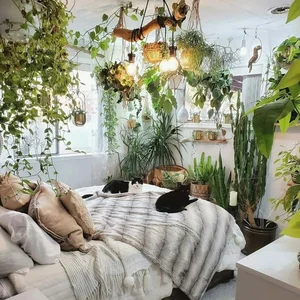 5 Common Indoor Plant Placement Mistakes to Avoid for a Healthier, Safer, and More Beautiful Home Environment-2