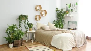 5 Common Indoor Plant Placement Mistakes to Avoid for a Healthier, Safer, and More Beautiful Home Environment-1