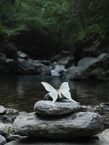 Man Moto Satomi in YiTuYu Art Language Vol.9227: Breathtaking Valley Portrait Series and Aesthetic Nature Photography-1