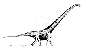 Meet Mamenchisaurus: The Majestic 10-Meter Long-Necked Giant of the Jurassic-6