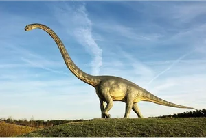 Meet Mamenchisaurus: The Majestic 10-Meter Long-Necked Giant of the Jurassic-4