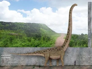 Meet Mamenchisaurus: The Majestic 10-Meter Long-Necked Giant of the Jurassic-3