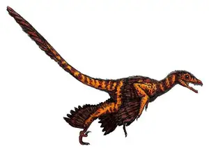 Ancient Creatures Discover Sinornithosaurus Venomous Feathered Dinosaur Mystery-7