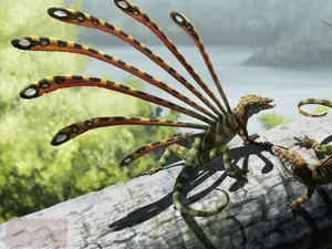 Longisquama: 230-Million-Year-Old Ancient Reptile Igniting Debate on Unique Spines and Evolution-4