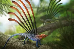 Longisquama: 230-Million-Year-Old Ancient Reptile Igniting Debate on Unique Spines and Evolution-3