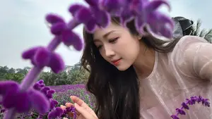 Gentle Beauty Amidst White Cosmos Field A Serene Moment-12