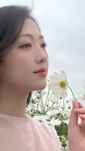 Gentle Beauty Amidst White Cosmos Field A Serene Moment-4