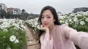 Gentle Beauty Amidst White Cosmos Field A Serene Moment-13