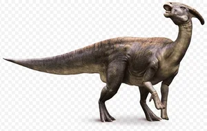 Unlocking the Mystery of Parasaurolophus: Why This Iconic Duck-Billed Dinosaur Had a Spectacular Two-Meter Crest and How It Used Sound to Communicate.-2