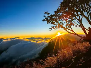 Nhu Co San Sunset: Conquer Majestic Sea of Clouds in Northwest Vietnam-9