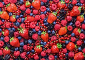 Natural Secrets to Prevent Premature Gray Hair with Vibrant Berries-0