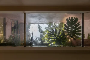 Modern Tube House Design: Innovative Urban Architecture with Lush Indoor Gardens and Natural Light Voids in Hanoi-1