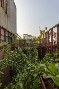 Modern Tube House Design: Innovative Urban Architecture with Lush Indoor Gardens and Natural Light Voids in Hanoi-11