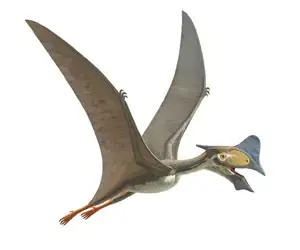 View: Tapejara - Bizarre Cretaceous Flying Reptile with Unique Giant Crest-6
