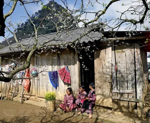 Moc Chau in Bloom: A Dreamy Spring Journey Through the Clouds-7