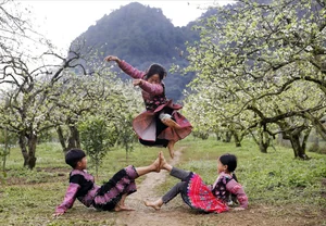 Moc Chau in Bloom: A Dreamy Spring Journey Through the Clouds-8