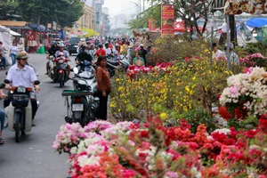 Vibrant Floating Flower Market in Ho Chi Minh City: A Traditional Lunar New Year Experience at Binh Dong Wharf, Vietnam-2