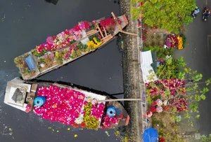 Vibrant Floating Flower Market in Ho Chi Minh City: A Traditional Lunar New Year Experience at Binh Dong Wharf, Vietnam-5