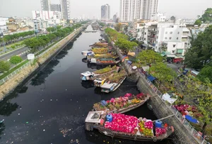 Vibrant Floating Flower Market in Ho Chi Minh City: A Traditional Lunar New Year Experience at Binh Dong Wharf, Vietnam-1