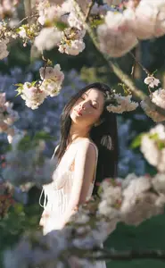 Spring Muse: Pristine Beauty and Grace Amidst Blooming Cherry Blossoms.-2