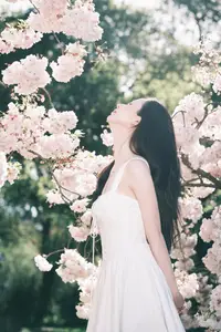 Spring Muse: Pristine Beauty and Grace Amidst Blooming Cherry Blossoms.-9