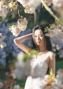 Spring Muse: Pristine Beauty and Grace Amidst Blooming Cherry Blossoms.-5