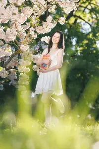 Spring Muse: Pristine Beauty and Grace Amidst Blooming Cherry Blossoms.-12