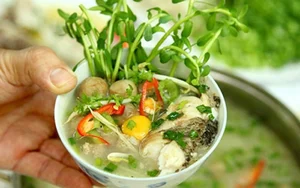 Discover Cháo Ám Trà Cổ: The Unique Seafood Porridge Specialty of Quang Ninh, Vietnam - A Must-Try Culinary Experience for Food Travelers-9