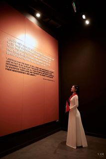 Graceful Vietnamese Woman in Traditional Ao Dai-6