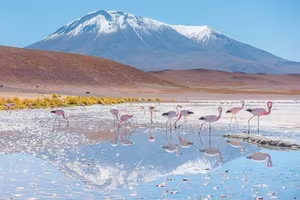 Discover Salar de Uyuni: A Spectacular Mirror Effect at the World's Largest Salt Flat, Where Sky Meets Earth-8