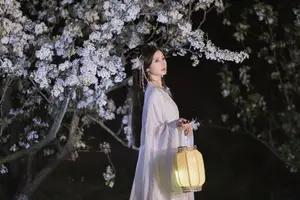 YiTuYu Vol.8782: Chu Yuan Yuan's Ethereal Beauty Amidst Cherry Blossoms Night-9