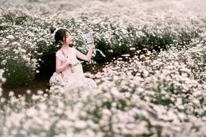 Moc Chau's Pure White Daisy Fields: A Muse Amidst a Floral Wonderland, Perfect for Stunning Photoshoots.-9
