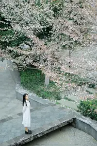 Long Xing Er: Graceful Cherry Blossom Muse – YiTuYu Vol.8741 Poetic Portrait-20