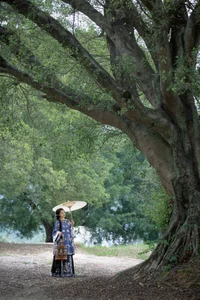 Timeless Elegance: Xin Xin in YiTuYu Art Language Vol.8883-15