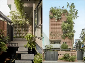 Sustainable Modern Townhouse: Transforming Urban Living with Biophilic Design and Lush Indoor Greenery-10