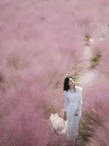 Enyyyn's Dreamy Escape in a Pink Grass Field – YiTuYu Vol.8630-8