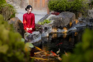 Timeless Elegance in Crimson and Gold-4