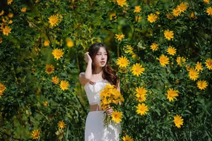 Da Lat Wild Sunflower Season: Explore Golden Paths and Unique Photo Spots-2