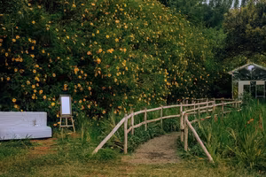 Da Lat Wild Sunflower Season: Explore Golden Paths and Unique Photo Spots-0